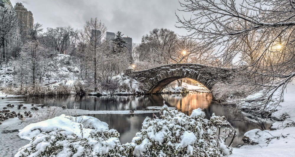 park with bridge covered in snow