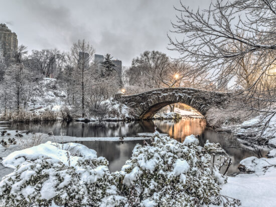 park with bridge covered in snow