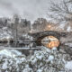 park with bridge covered in snow