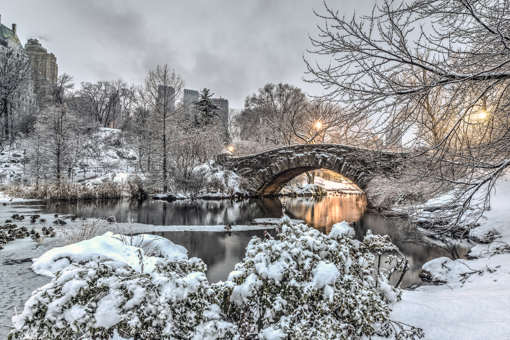 places in new york to visit in winter