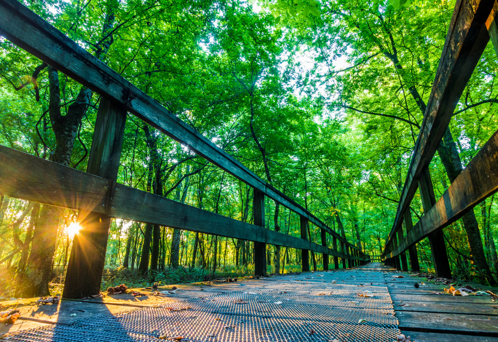 Tennessee Road Trip Natchez Trace State Park