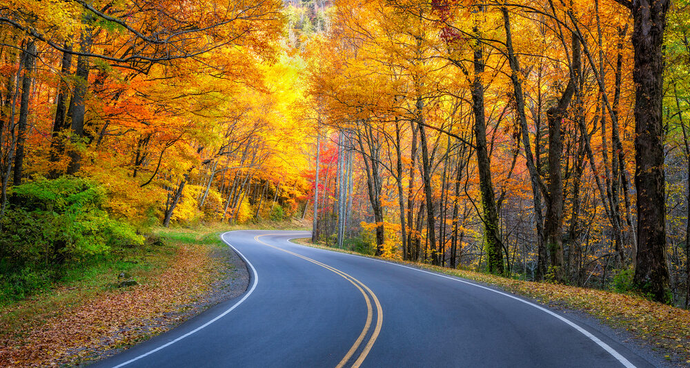 Tennessee Road Trip Road going through fall foliage