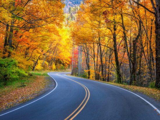 Tennessee Road Trip Road going through fall foliage