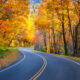 Tennessee Road Trip Road going through fall foliage