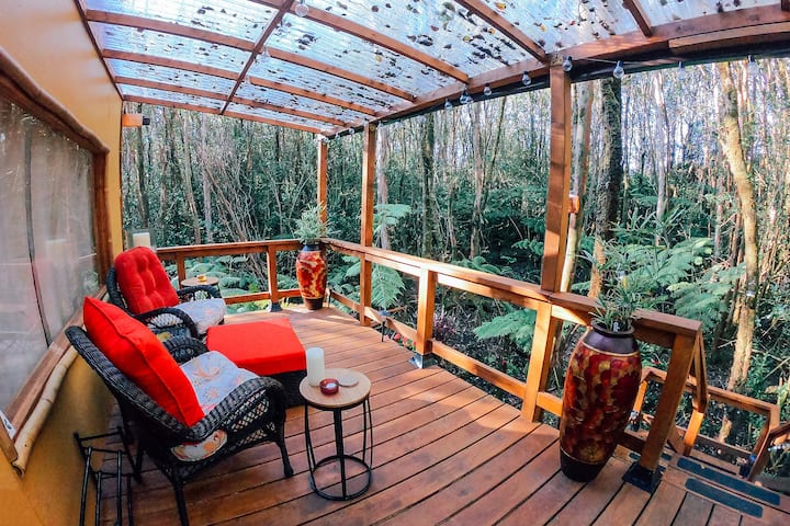 This treehouse in Hawaii is a super cool airbnb in Ameirca