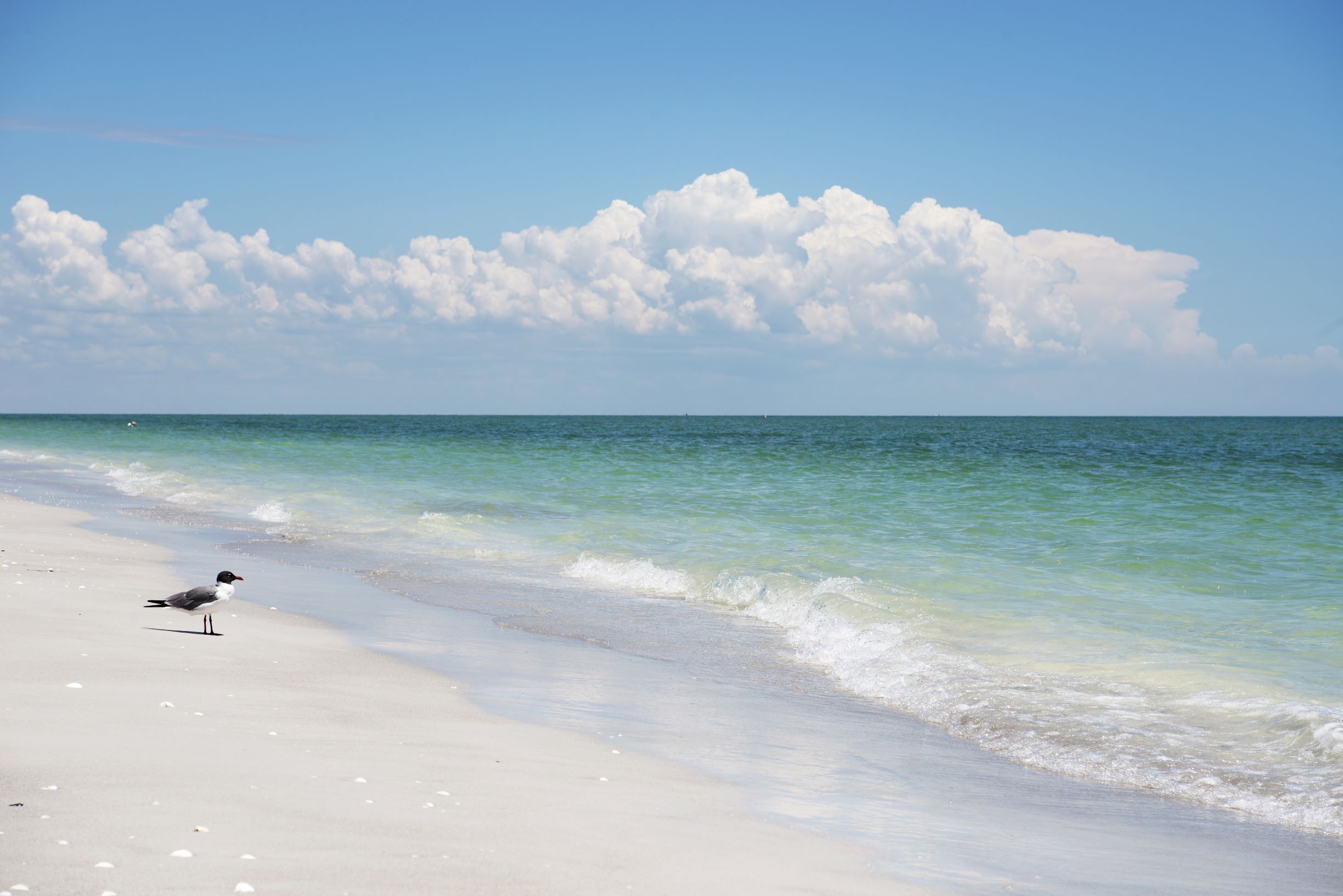 Photo of the beach on Sanibel Island, FL.