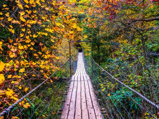 bridge crossing through red, orange, yellow, and green trees