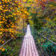 bridge crossing through red, orange, yellow, and green trees