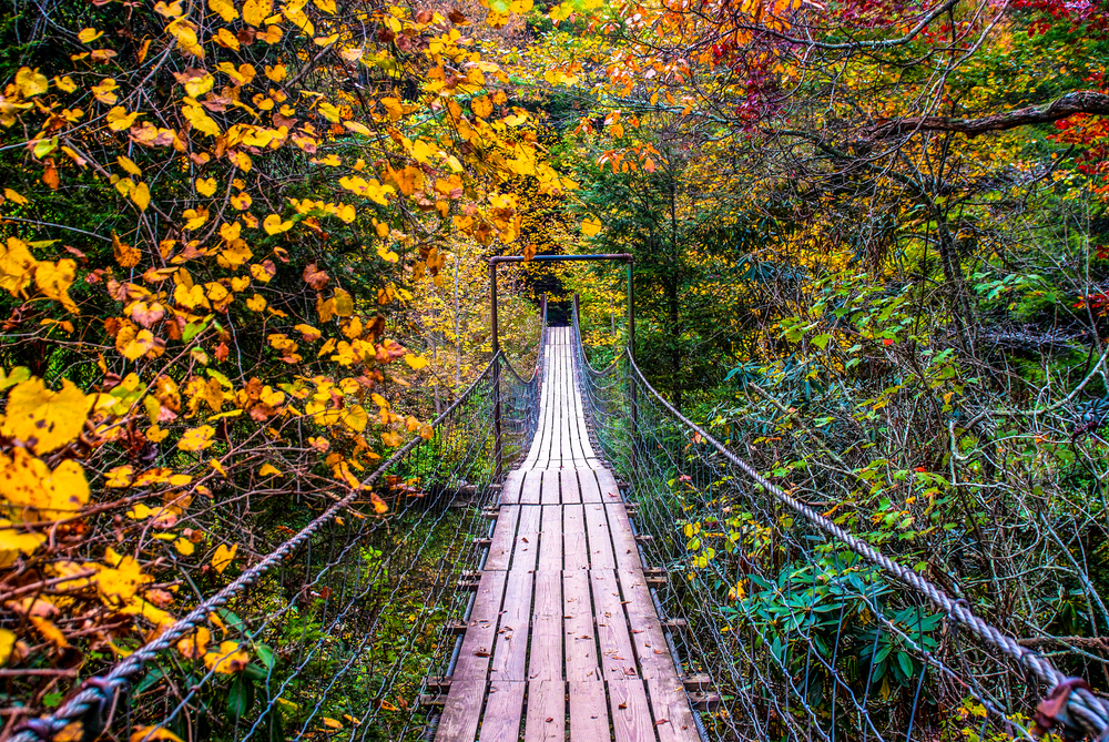 bridge crossing through red, orange, yellow, and green trees