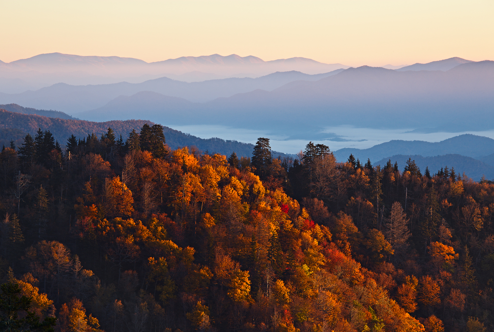 rolling hills covered in autumn leaves weekend getaways in Tennessee