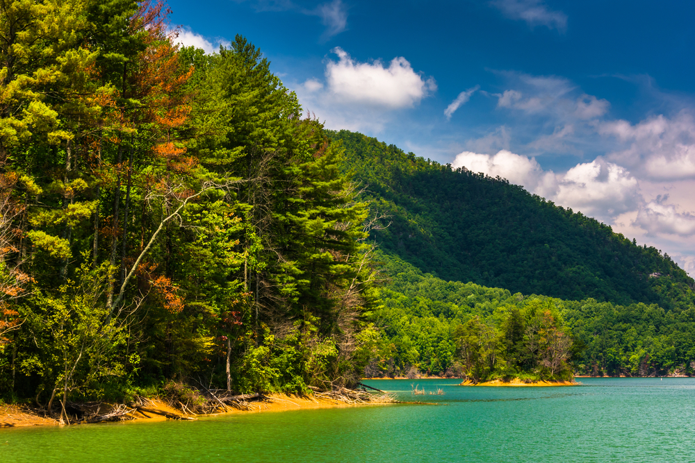 green trees lining turquoise lake