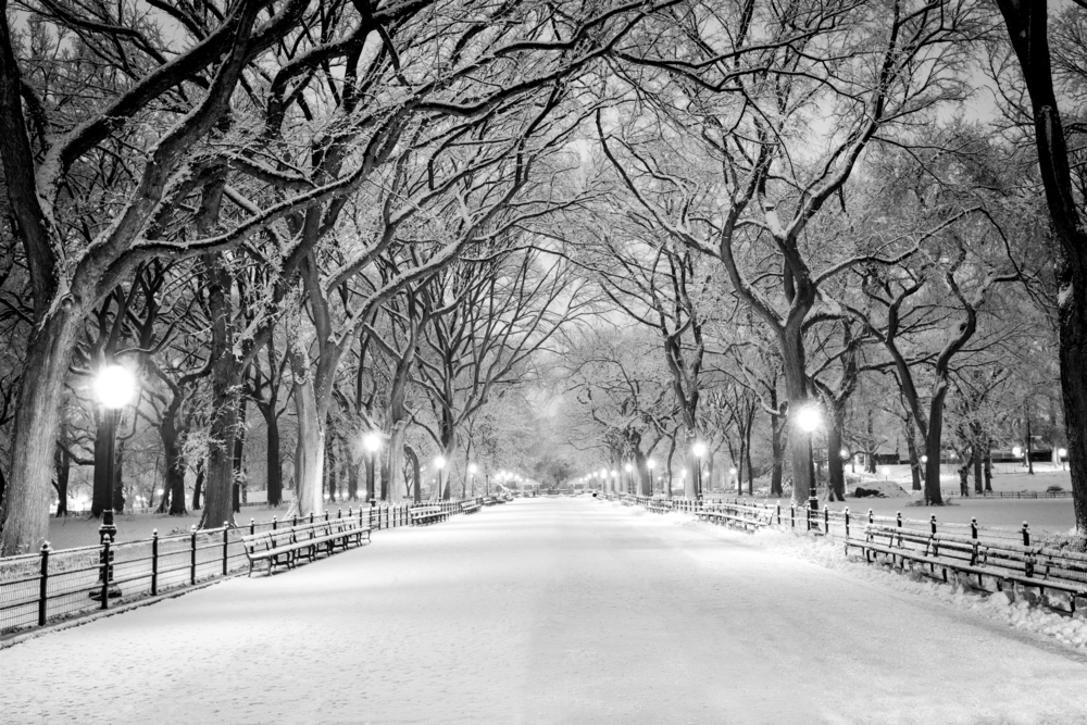 Central Park in the snow at Christmas