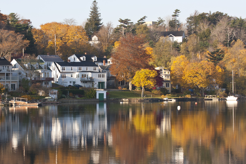 there's a variety of different fall themed activities in Halifax