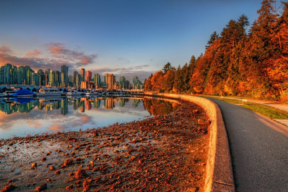 don't discount Vancouver - there's many parks to see the fall leaves!