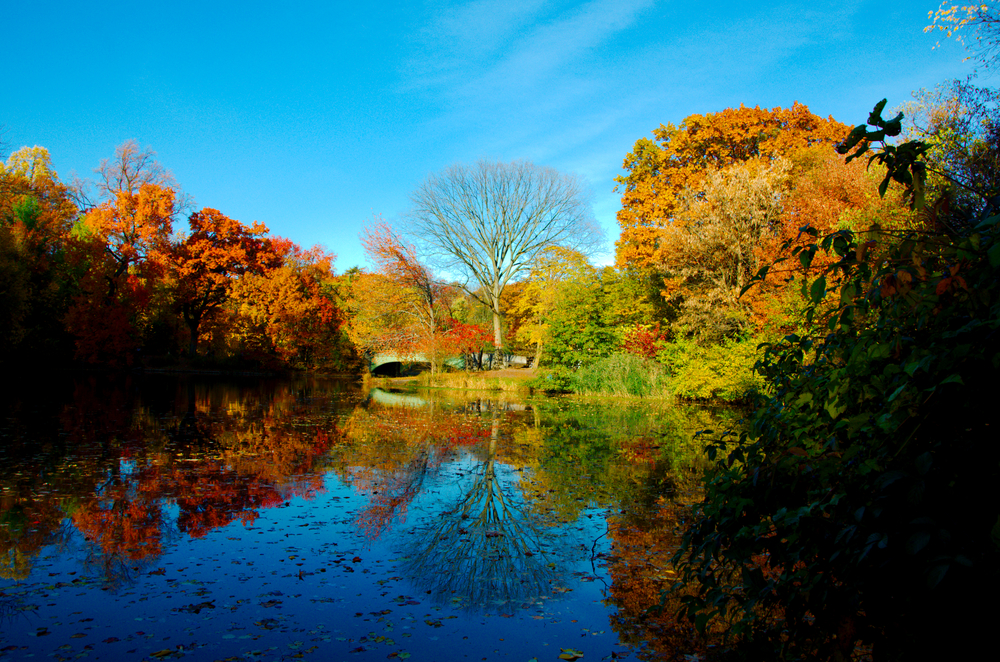 lake pleasant is in new york city, but still has plenty of fall foliage for you to see