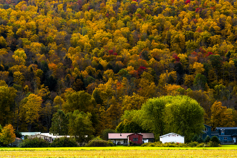 there's many beautiful colors to see in the catskills during fall in new york