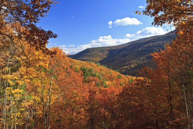 16 Best Places to see Fall Foliage in New York State Follow Me Away