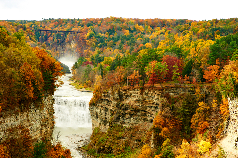 there are so many different colors to see in letchworth state park