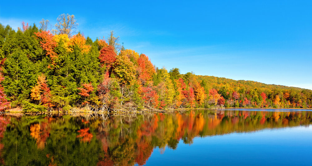 The Lake in Bays Mountain Lake Park