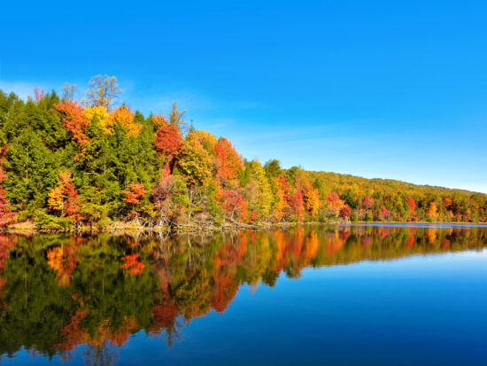 The Lake in Bays Mountain Lake Park