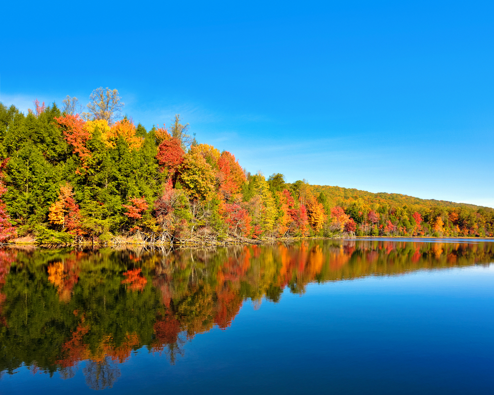 The Lake in Bays Mountain Lake Park