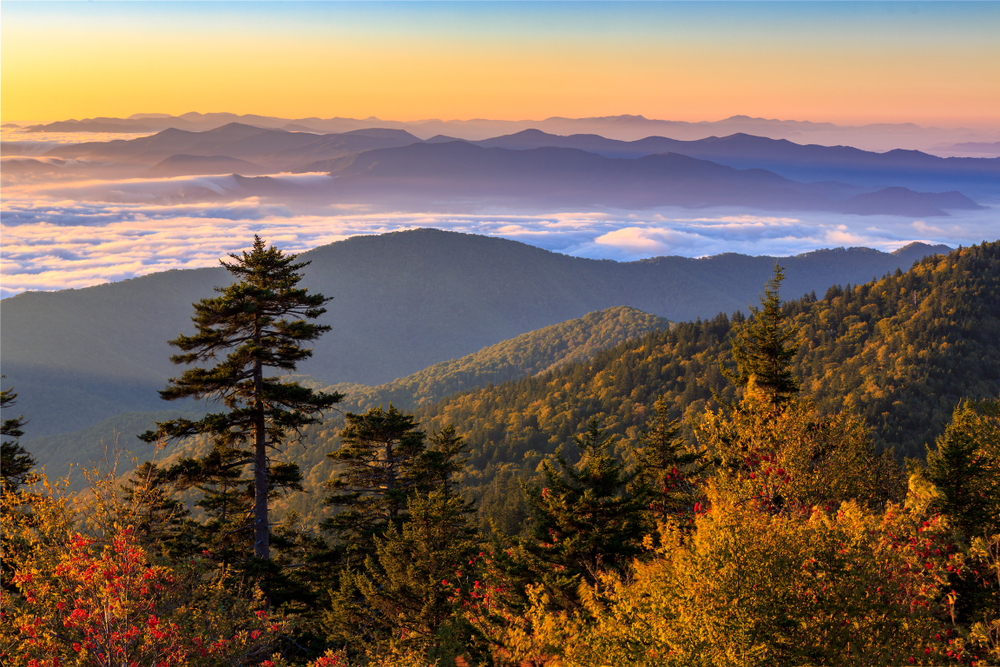 Viewpoint from Clingmans Dome