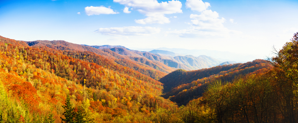 Fall in Tennessee with views of colorful foliage