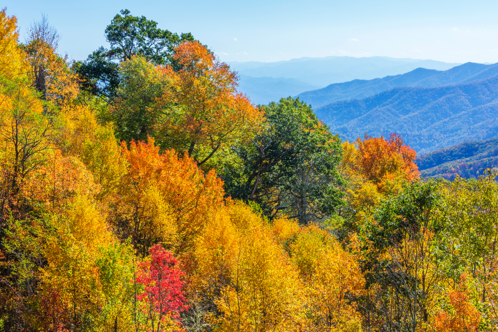 fall foliage tours tennessee