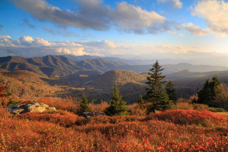 12 Best Places to See Fall Foliage in Tennessee Follow Me Away