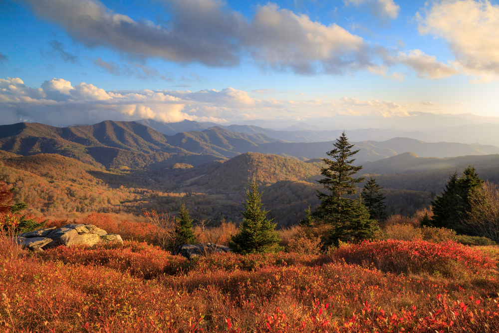 The view from Roan Mountain 