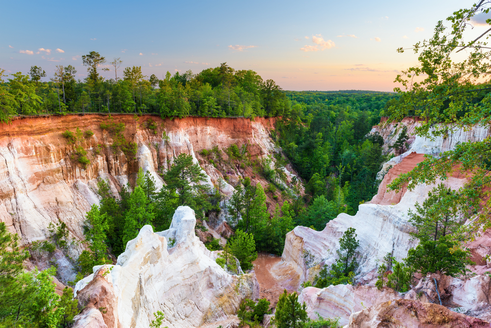 Providence Canyon is the "Little Grand Canyon" of Georgia! 