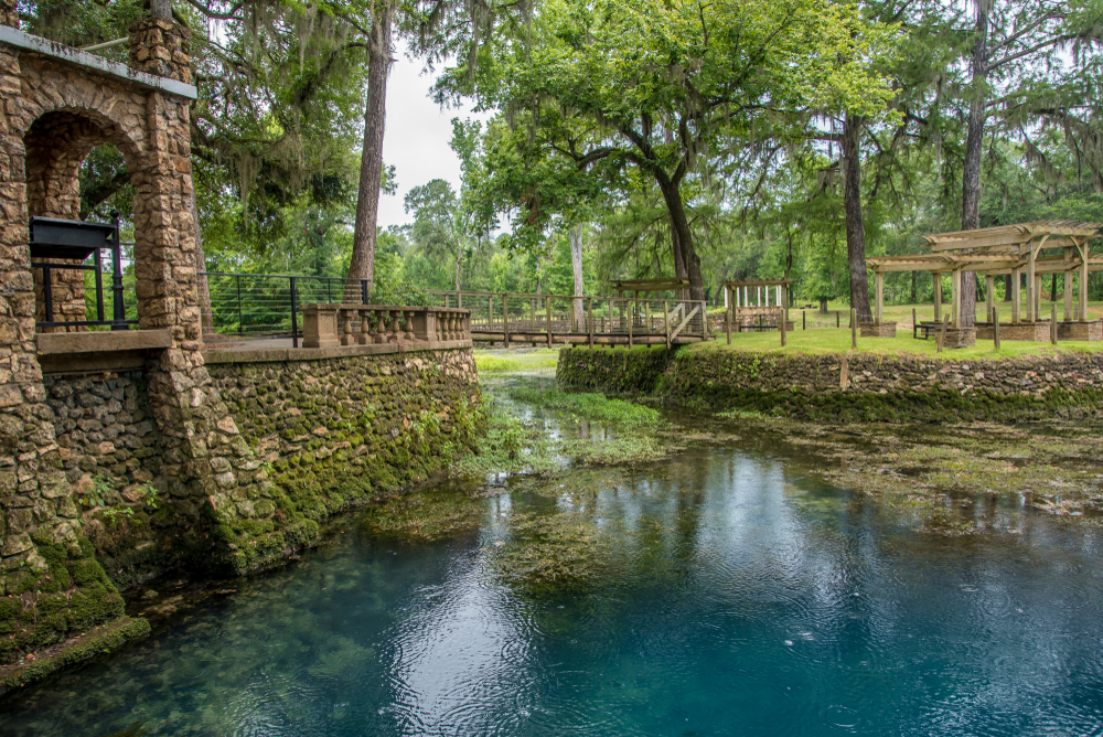 Radium Springs are a natural wonder in Georgia! 