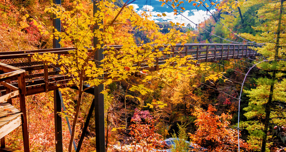 Tallulah Gorge State Park is known for its running water carving through nature