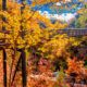 Tallulah Gorge State Park is known for its running water carving through nature