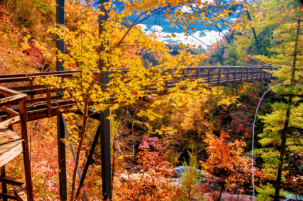 Tallulah Gorge State Park is known for its running water carving through nature