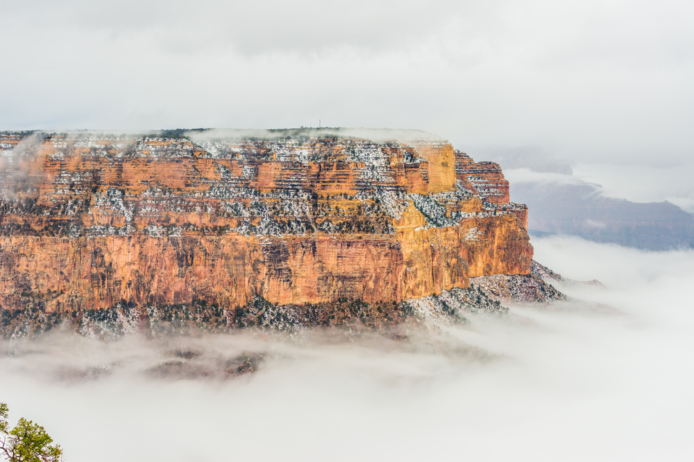 The Grand Canyon covered in fog