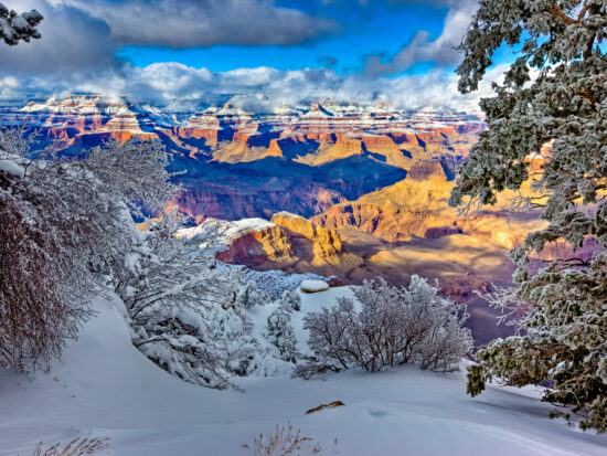 The Grand Canyon in winter covered in snow