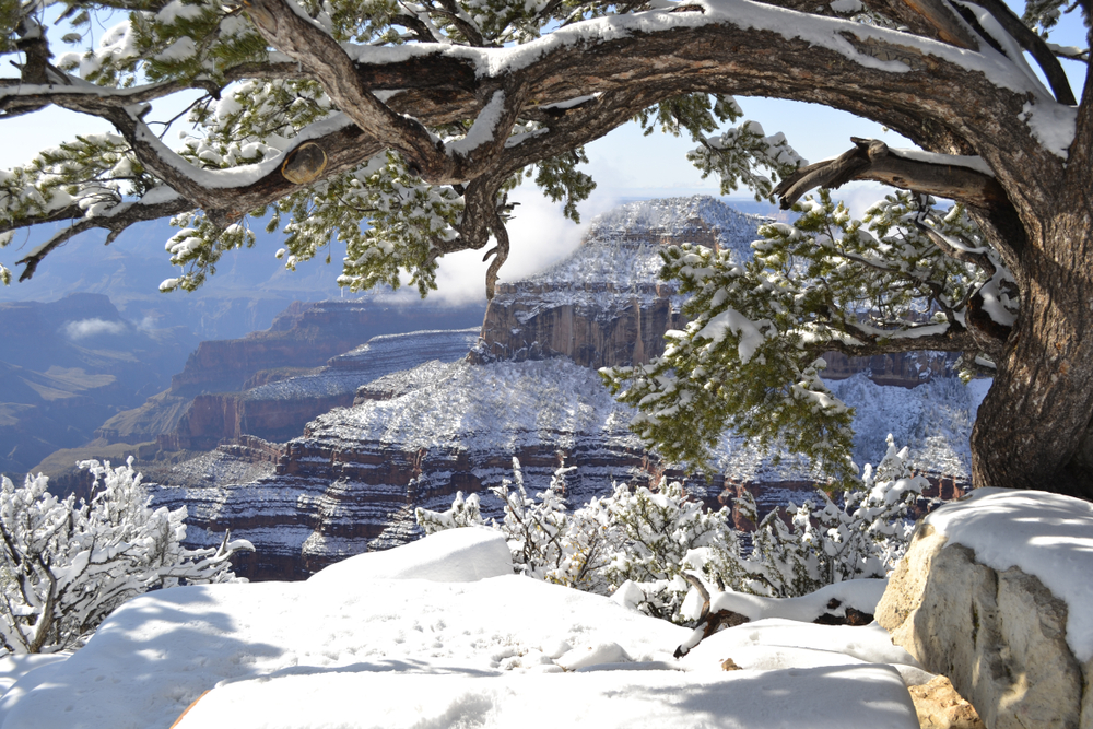 The north rim of the Grand Canyon in snow
