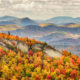 hiking down Grandfather Mountain on your North Carolina road trip