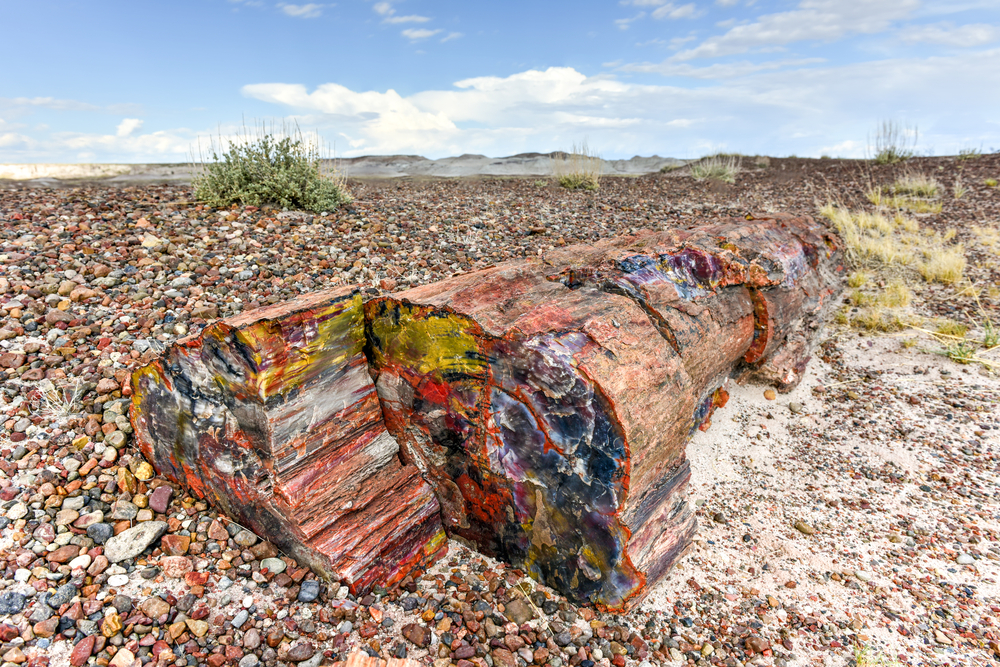 Named for its large deposits of petrified wood, this national park is located in northeastern Arizona