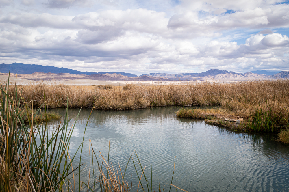 One of the best natural hot springs in Southern California, Tecopa Hot Springs
