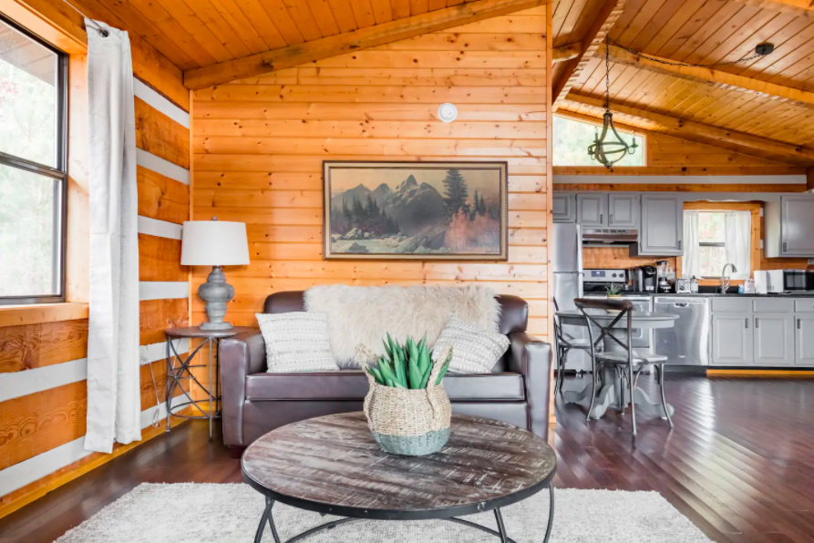 wooden interior of cabin with gray couch