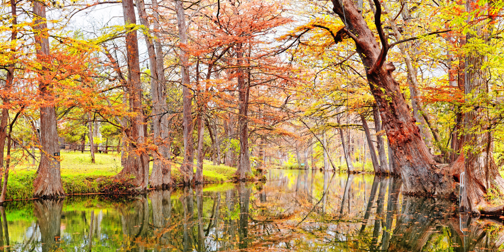 green spring surrounded by orange and yellow trees day trips from Austin