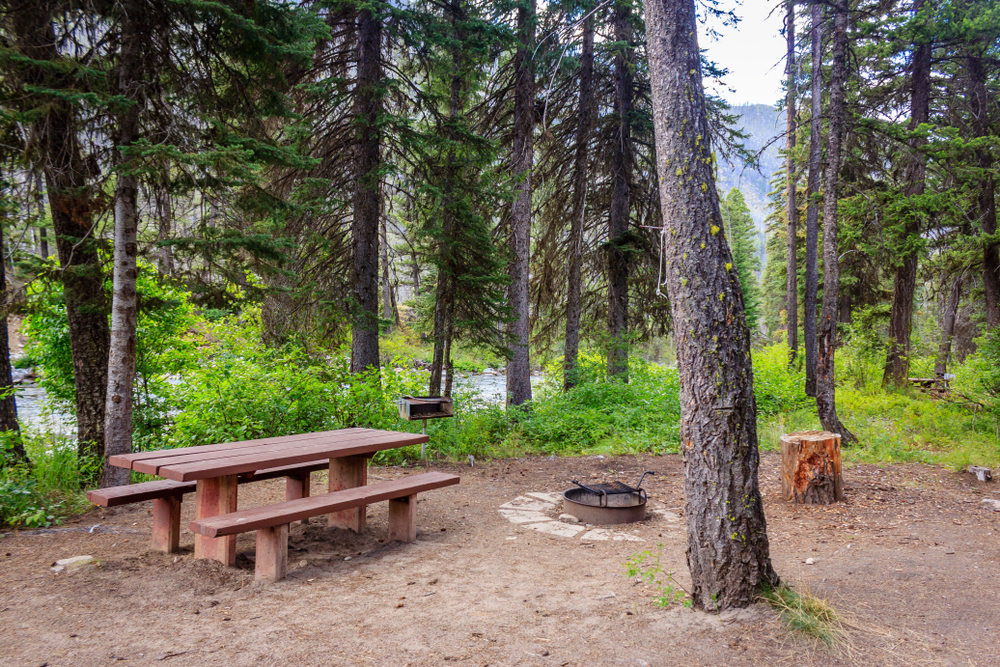 Idaho Road Trip Payette National Forest