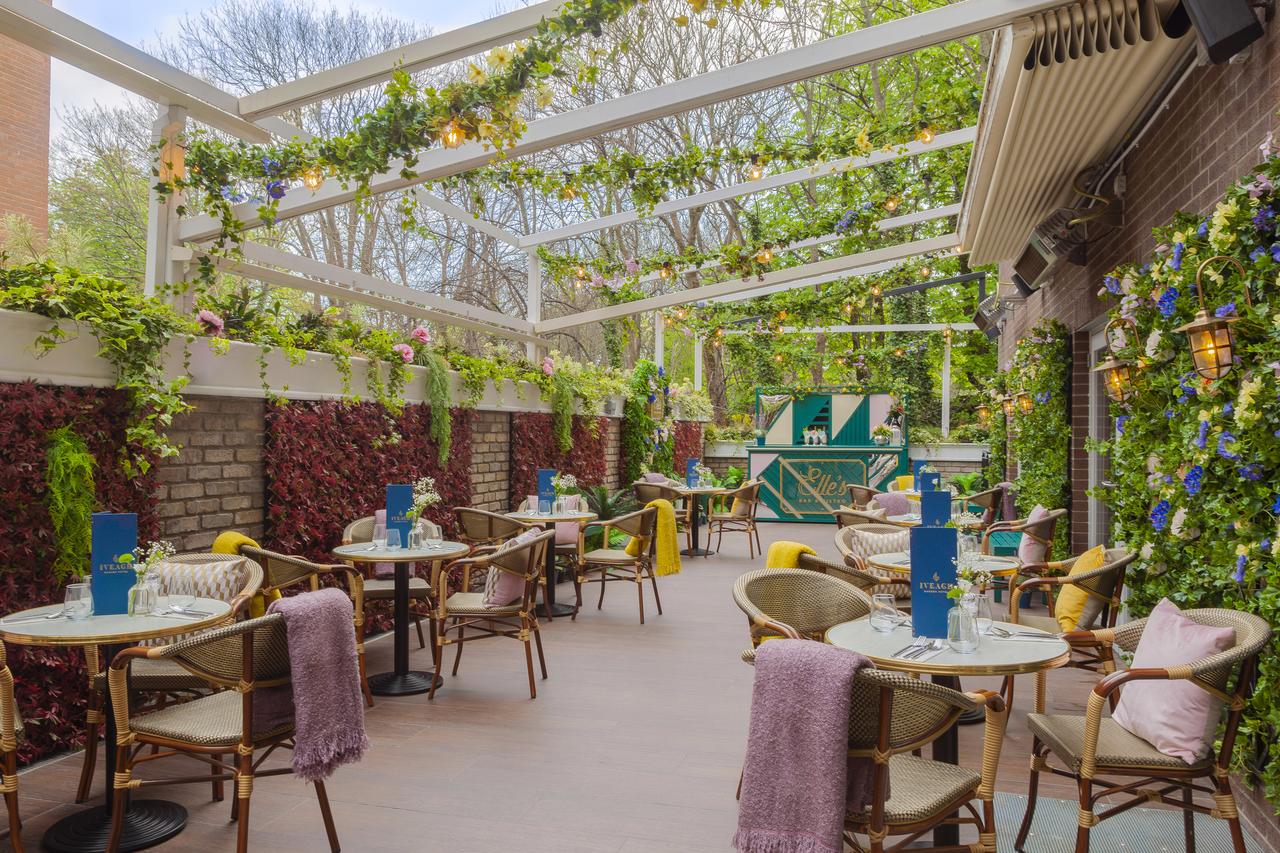 The Iveagh Garden Hotel is a boutique hotel in dublin that has a gorgeous conservatory