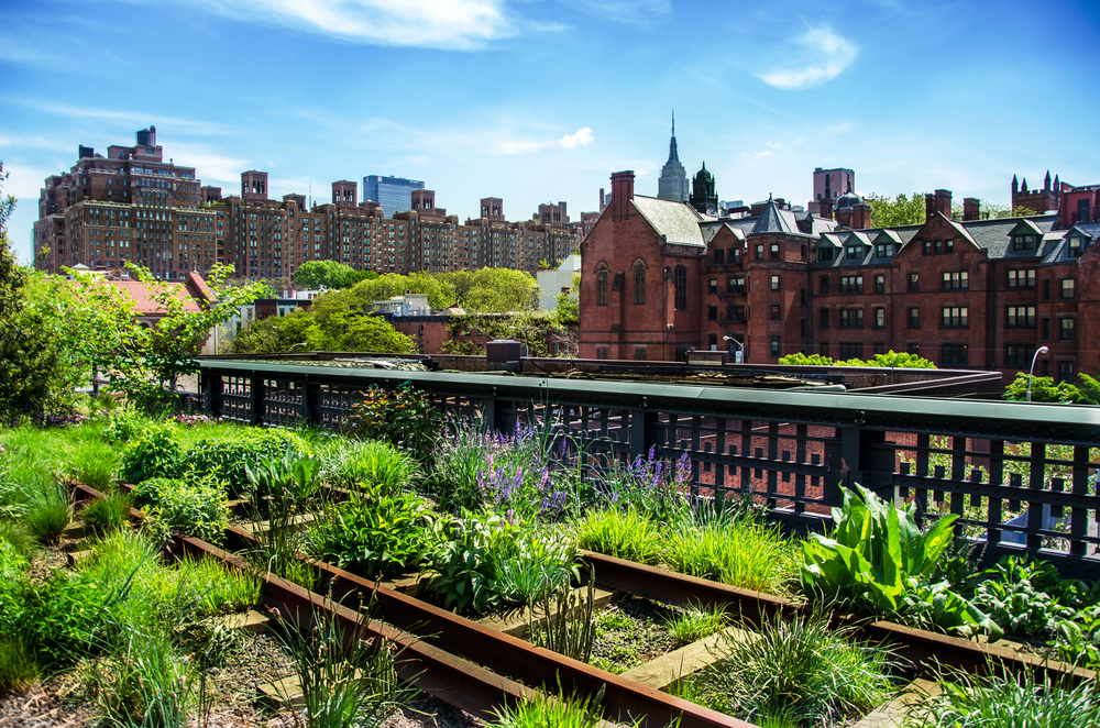 New York on a Budget High Line