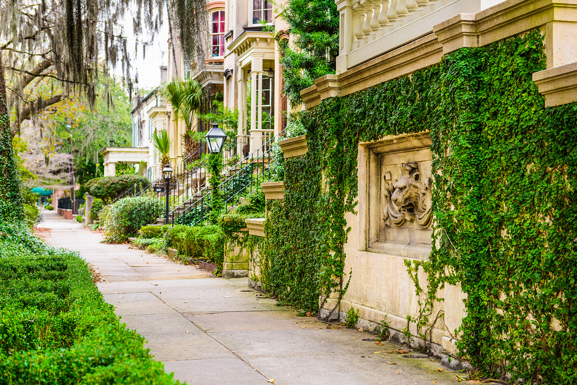 Street scape in Savannah