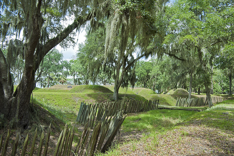 Nature trail in Savannah