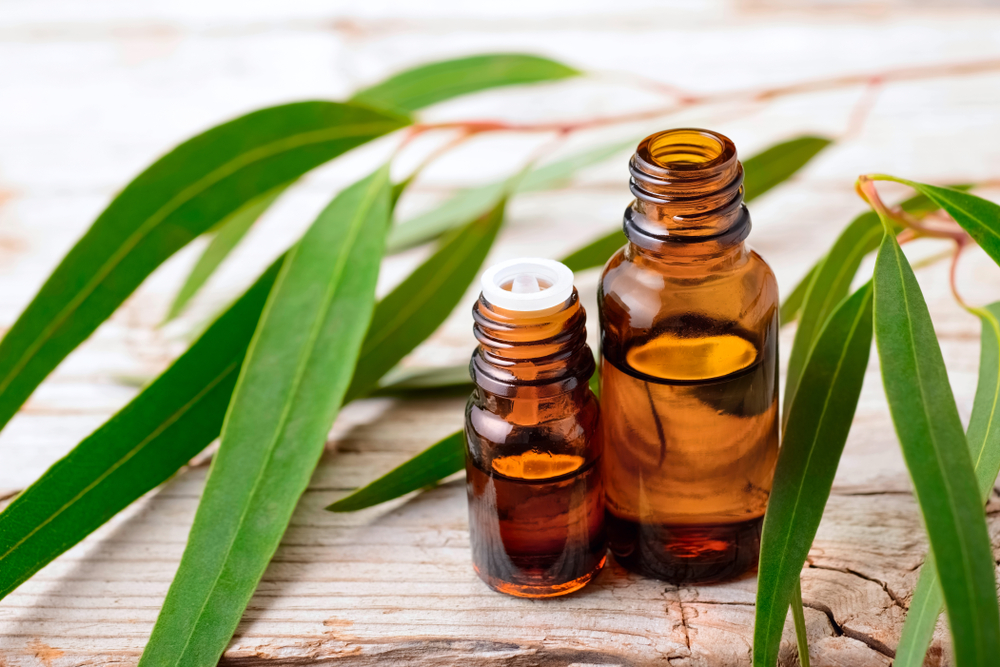 Eucalyptus essential oil on a wooden table 