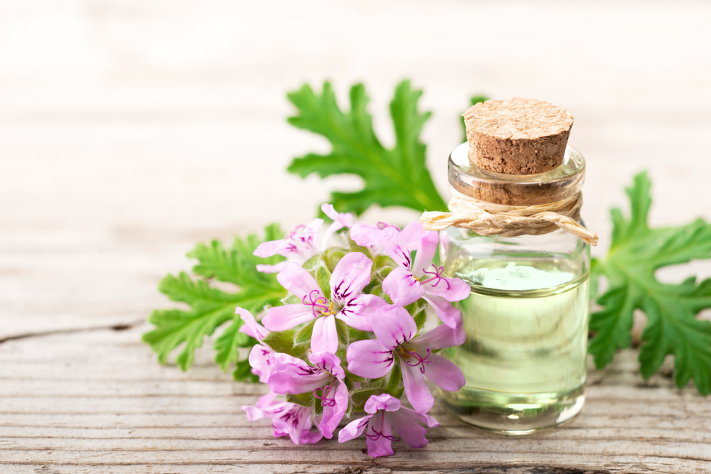 Geranium essential oil 